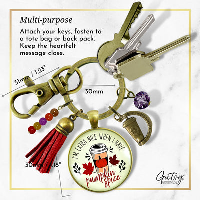 Pumpkin Spice Keychain Extra Nice Latte Coffee Lover Everything Autumn Funny Merch Gift Jewelry For Women  Keychain - Women - Gutsy Goodness Handmade Jewelry